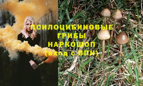 марки lsd Горняк