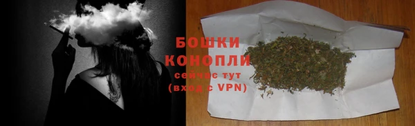 мдпв Горно-Алтайск