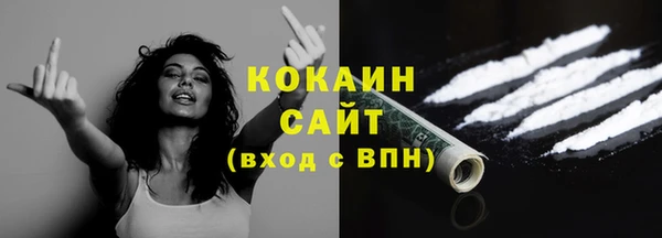 мдпв Горно-Алтайск