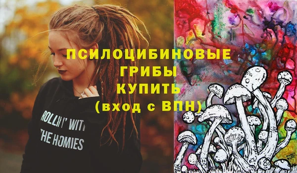 марки lsd Горняк
