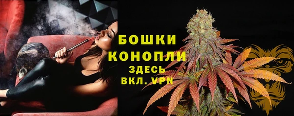 эйфоретик Горнозаводск